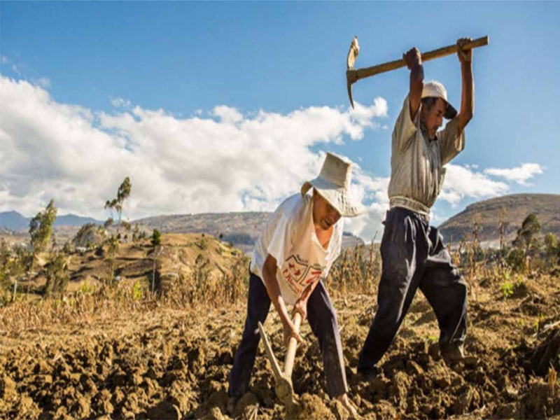 Para el 2030, el cambio climático podría provocar un incremento en los precios de los alimentos