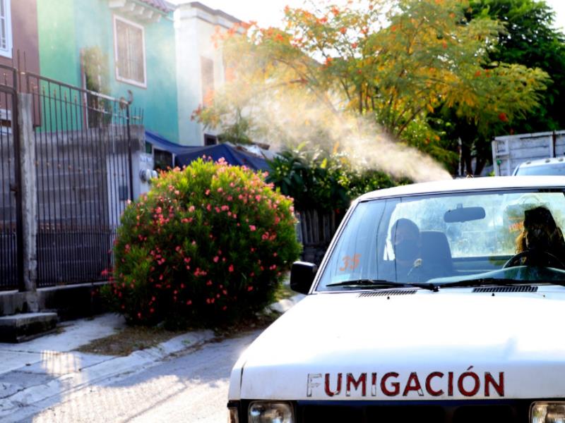 Han retirado de la vía pública 834 toneladas de cacharros