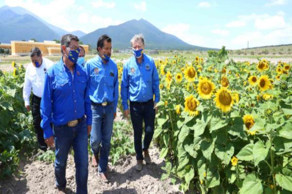 Mejor suelo, ensilado y agroturismo