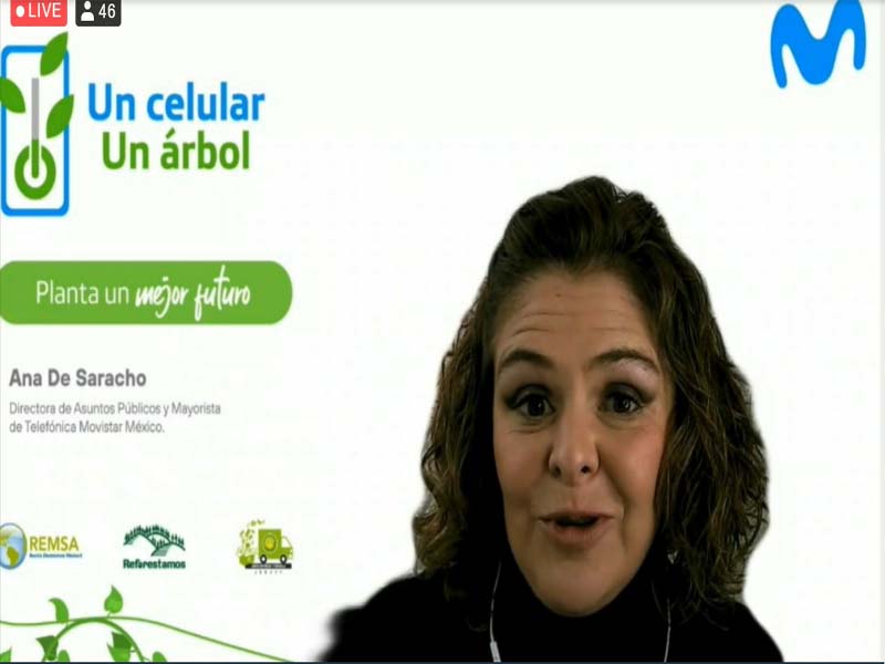 Movistar invita a reforestar