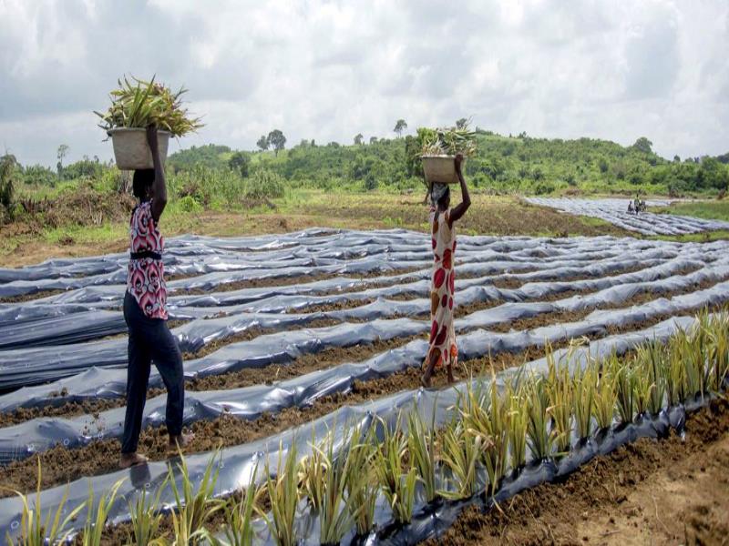 /portada_medioambienteyagricultura