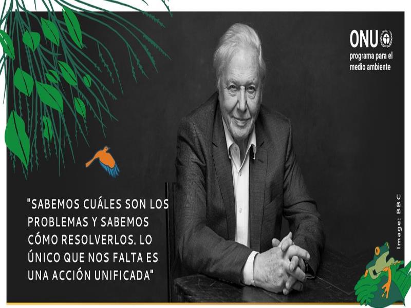 ONU Medio Ambiente/BCC. Campeón de la Tierra Sir David Attenborough, galardonado con el premio Campeones de la Tierra