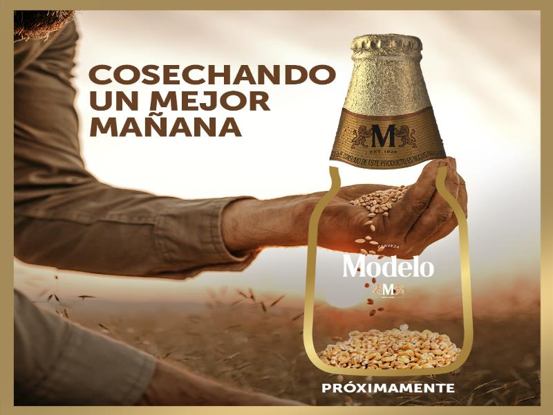 Cerveza Modelo sabe que todo comienza con una semilla y hoy refuerza su solidaridad con más de 4,000 agricultores y más de 12,000 familias en la cadena de valor