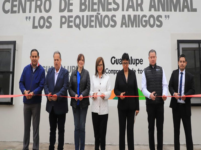 La Alcaldesa Cristina Díaz Salazar hizo un llamado a las organizaciones que atienden el bienestar de todo ser vivo para conformar una mesa de trabajo y modificar juntos el Reglamento para la Protección de los Animales 