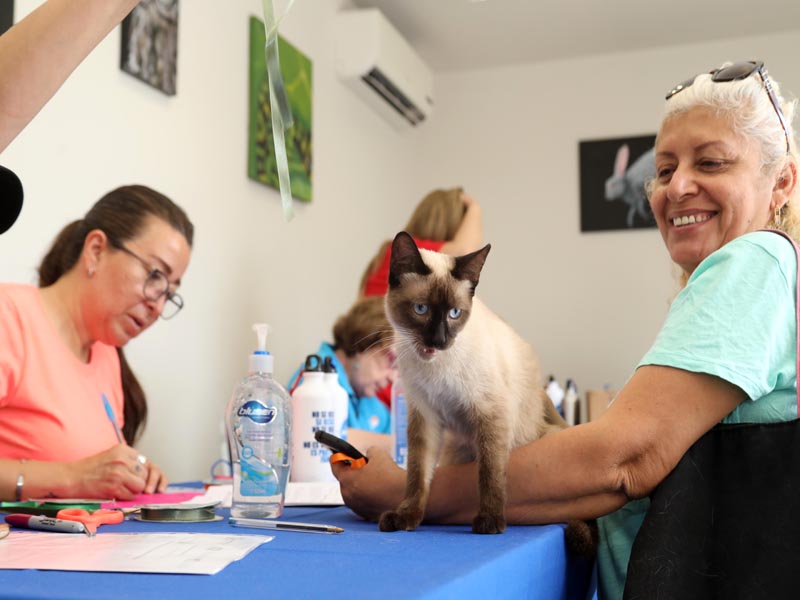 Se brindarán, de forma gratuita, más de mil 200 cirugías